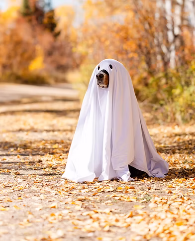 Halloween- und Herbstwanderung